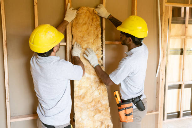 Best Attic Insulation Installation  in Marshfield, WI