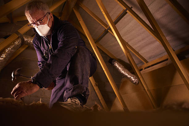 Best Wall Insulation Contractor  in Marshfield, WI